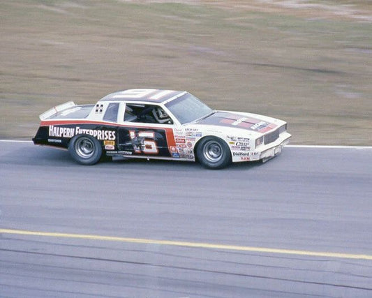 1981 Halpern Chevy David Pearson Glossy Photo Daytona 500 Poster Print