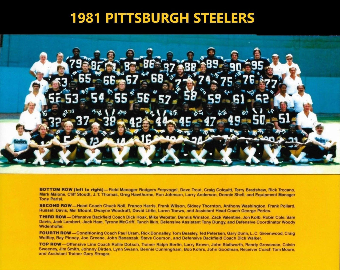 1981 Pittsburgh Steelers Team Magnet Football Picture Nfl