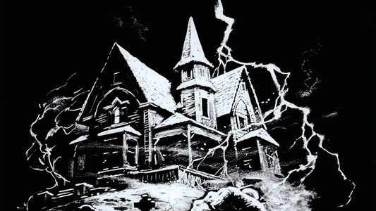 1981 The House By The Cemetery Movie Poster Catriona Maccoll Paolo Malco