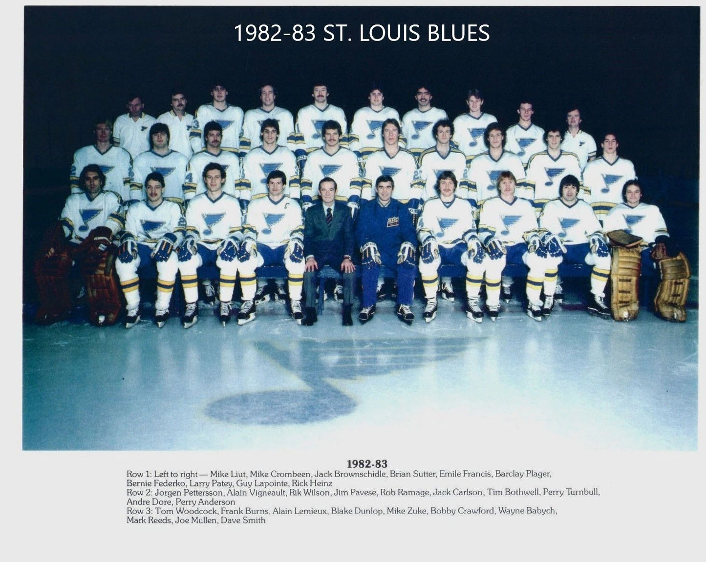 83 St. Louis Blues Team Magnet Hockey Picture Nhl
