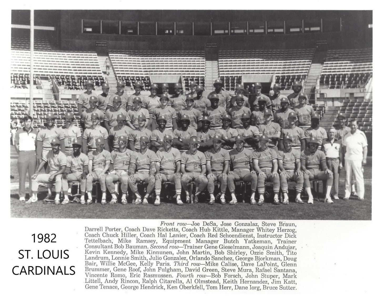 1982 St. Louis Cardinals Team Magnet Baseball Picture Mlb