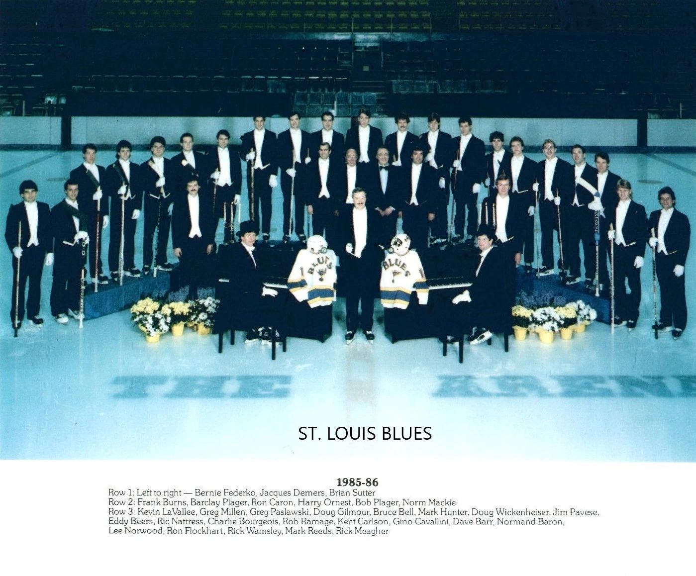 86 St. Louis Blues Team Photo Hockey Picture Nhl 300 Piece Jigsaw Puzzle