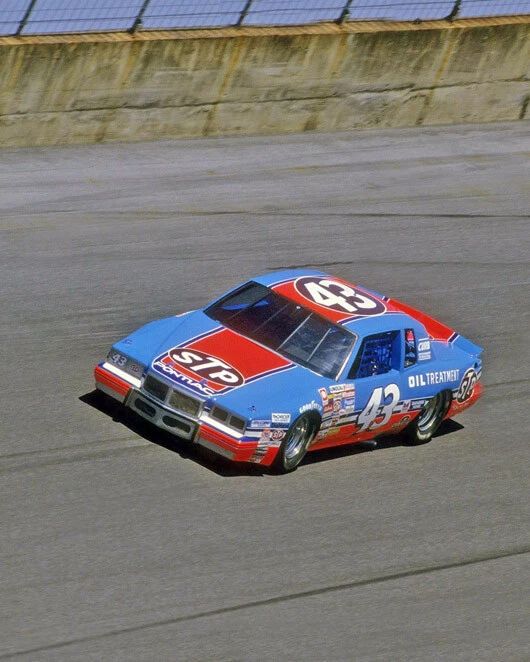 1985 Stp Pontiac Richard Petty Glossy Magnet Daytona Speedway Magnet
