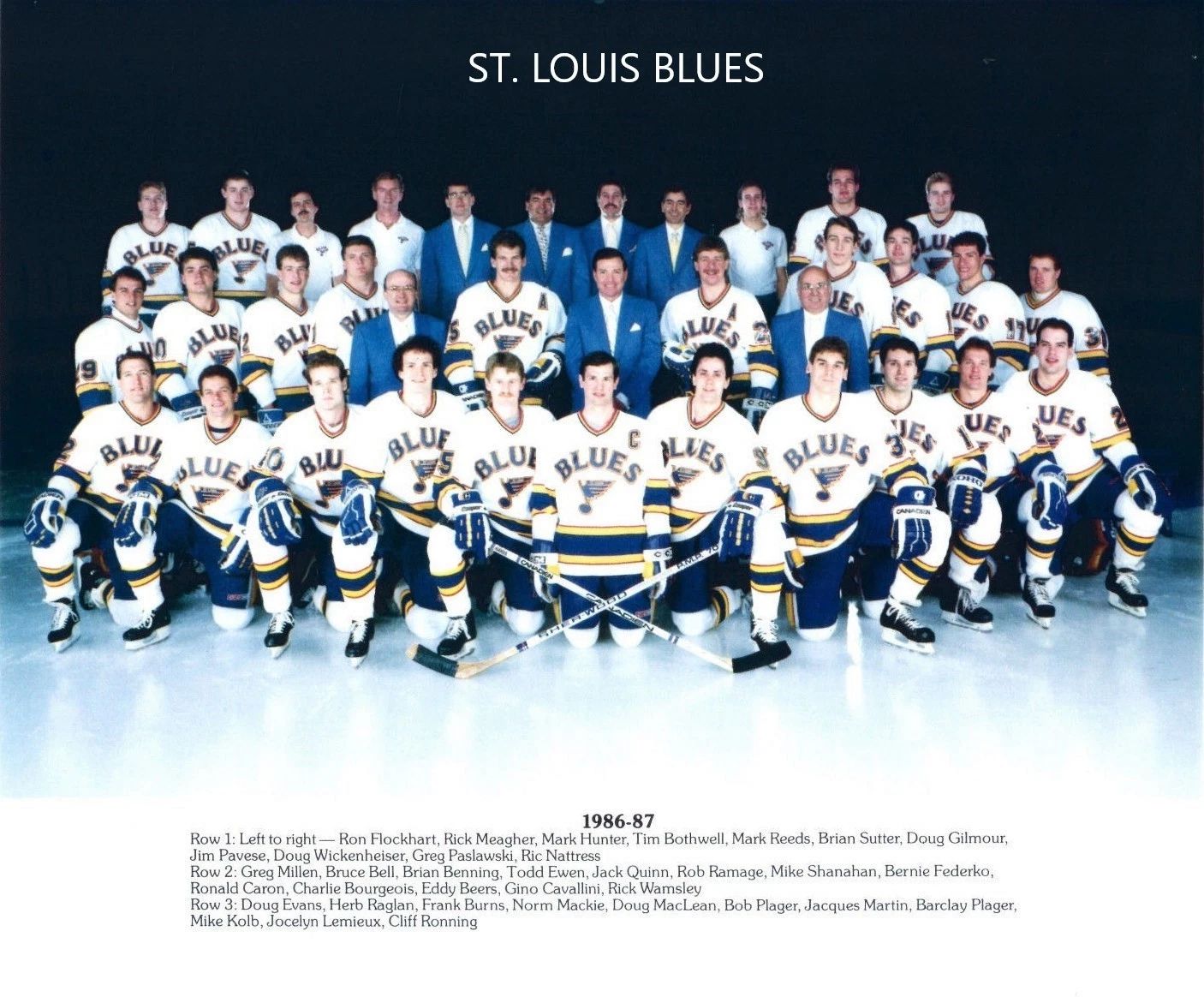 87 St. Louis Blues Team Keychain Hockey Picture Nhl