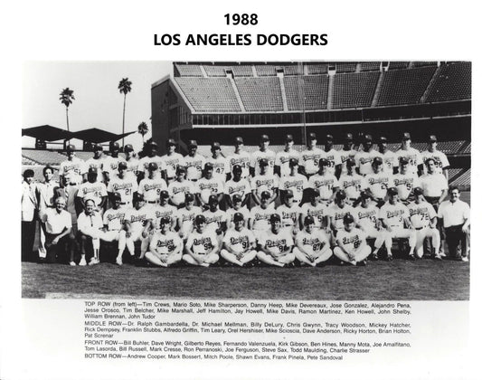 1988 Los Angeles Dodgers Team Photo Baseball Picture La Mlb