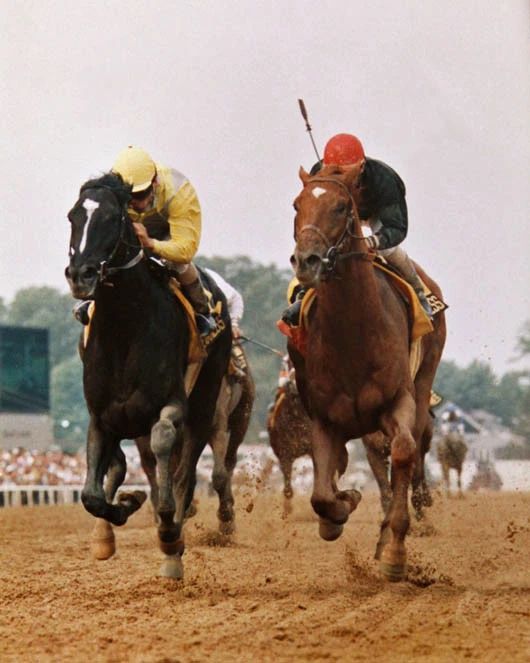 1989 Preakness Stakes Sunday Silence Vs Easy Goer Glossy Photo Poster Print