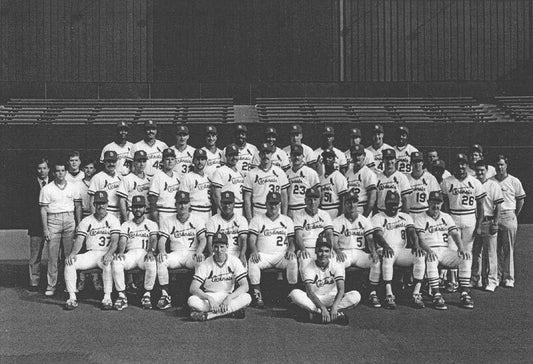 1989 St. Louis Cardinals Team Magnet Baseball Picture Mlb