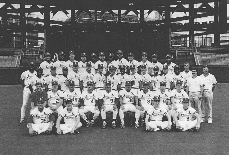 1991 St. Louis Cardinals Team Photo Baseball Picture Mlb