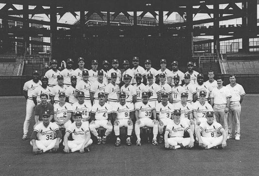 1991 St. Louis Cardinals Team Magnet Baseball Picture Mlb