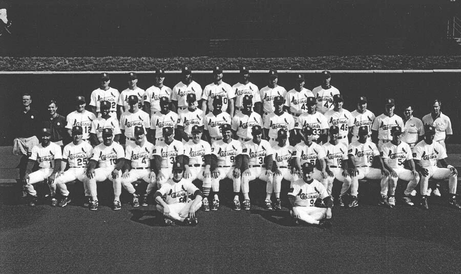 1994 St. Louis Cardinals Team Photo Baseball Picture Mlb Wide Border