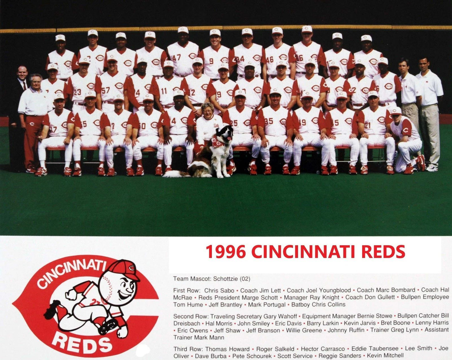 1996 Cincinnati Reds Team Photo Baseball Mlb Picture