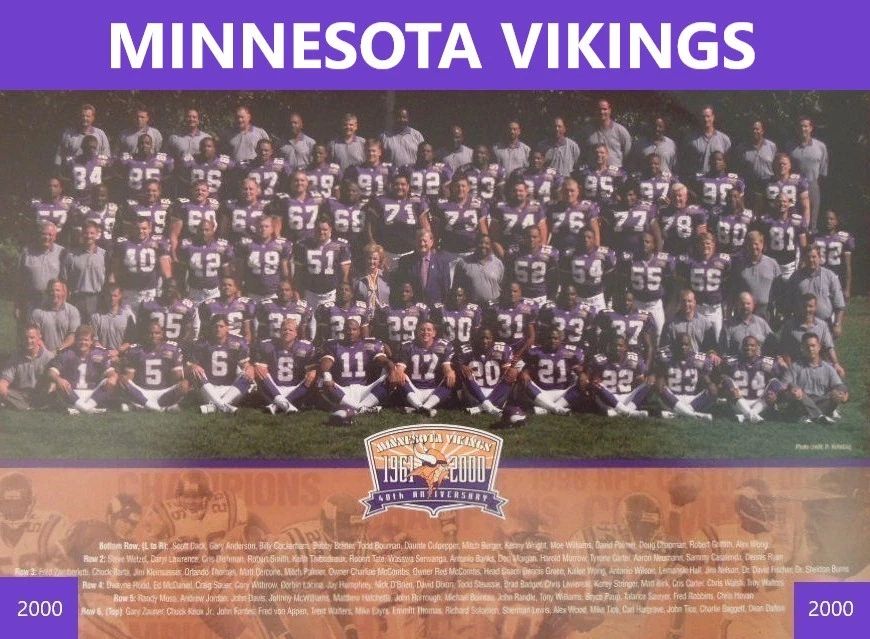 2000 Minnesota Vikings Team Magnet Football Picture Nfl