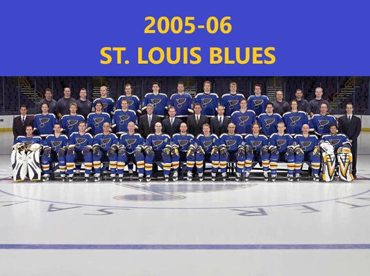 06 St. Louis Blues Team Photo Hockey Picture Nhl 300 Piece Jigsaw Puzzle