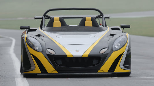 Lotus Eleven Hd Art Jigsaw Puzzle