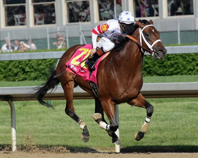 2008 Champion Racehorse Big Brown Glossy Magnet Kentucky Derby Winner Print