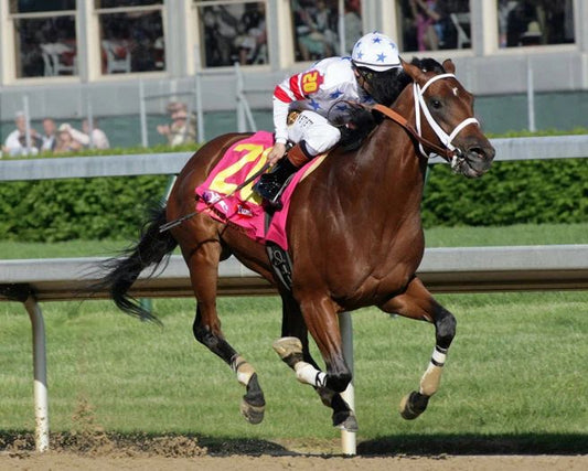 2008 Champion Racehorse Big Brown Glossy Magnet Kentucky Derby Winner Print
