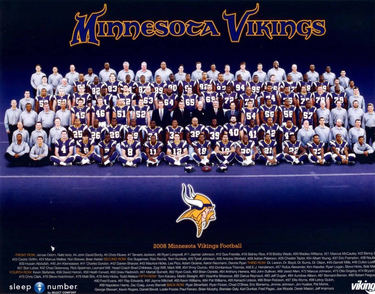 2008 Minnesota Vikings Team Keychain Football Picture Nfl