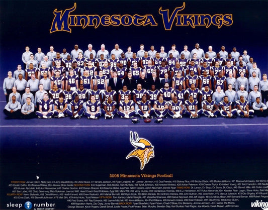 2008 Minnesota Vikings Team Magnet Football Picture Nfl