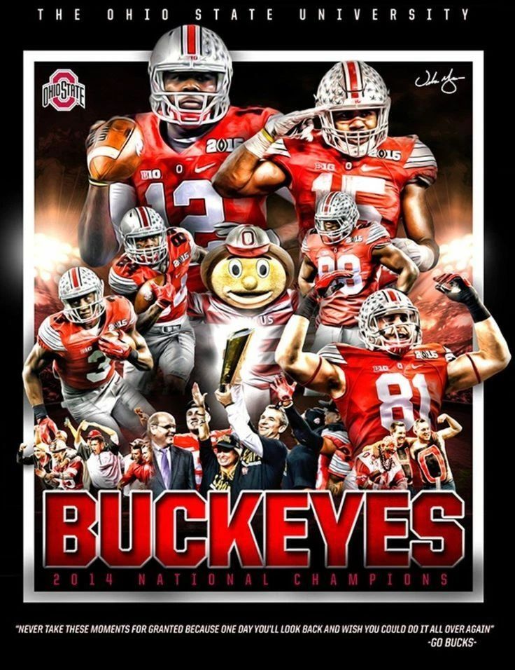 2014 Ohio State Buckeyes Team Keychain Picture Ncaa Football