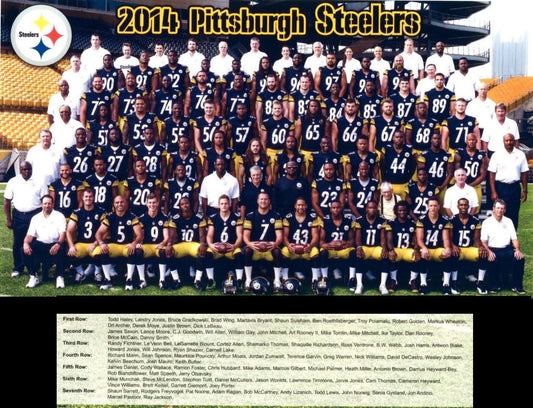 2014 Pittsburgh Steelers Team Magnet Football Picture Nfl