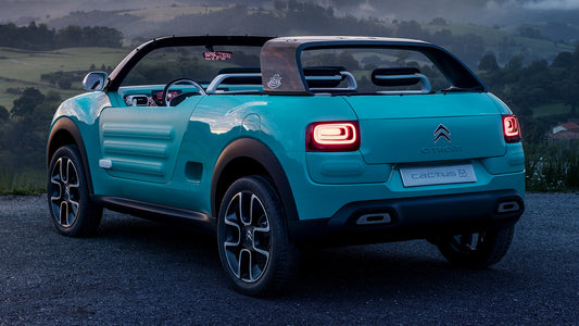 Citroen Cactus M Concept Hd Art Keychain