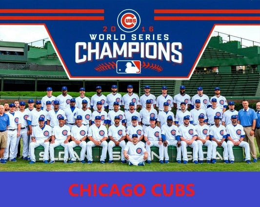2016 Chicago Cubs Team Keychain Baseball Mlb Picture World Series Champs Ws
