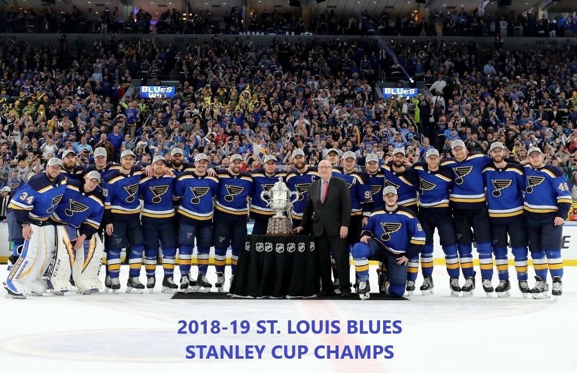 19 St. Louis Blues Team Hockey Nhl Stanley Cup Champs 300 Piece Jigsaw Puzzle