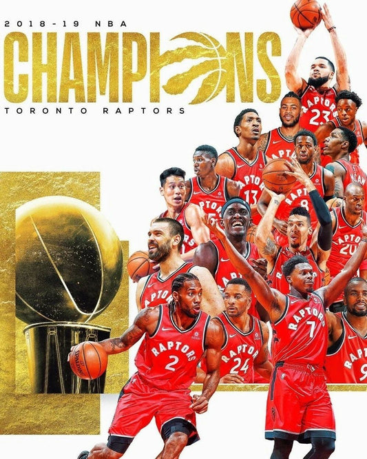 19 Toronto Raptors Magnet Basketball Picture Nba