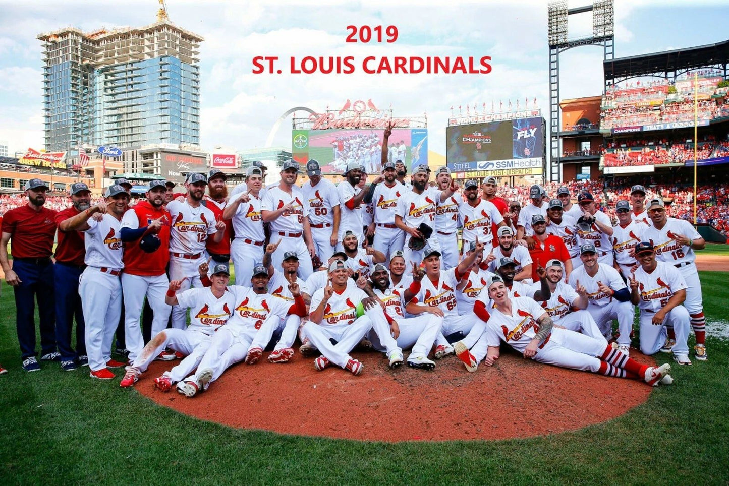 2019 St. Louis Cardinals Team Magnet Baseball Picture Mlb