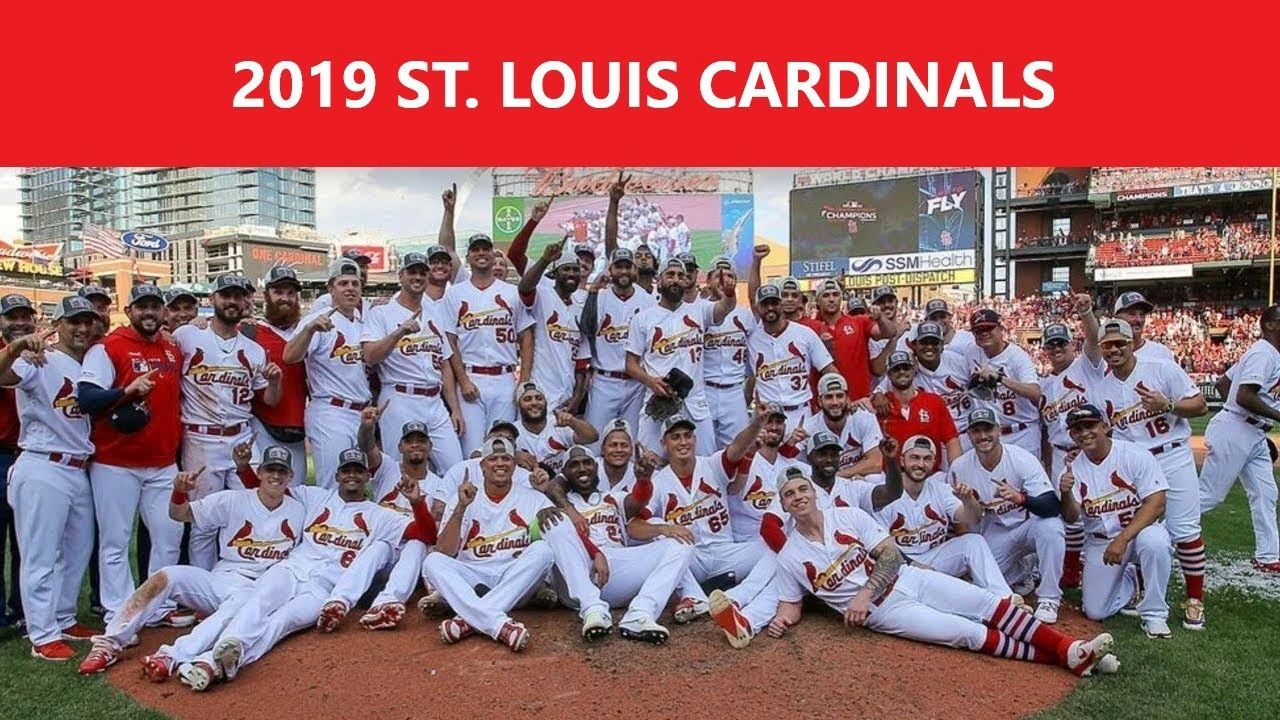 2019 St. Louis Cardinals Team Photo Baseball Picture Mlb Wide Border