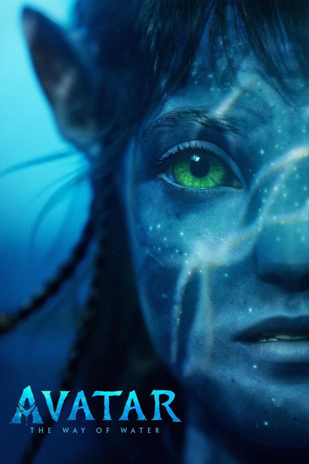 2022 Avatar The Way Of Water Movie Poster James Cameron Sully Neytiri
