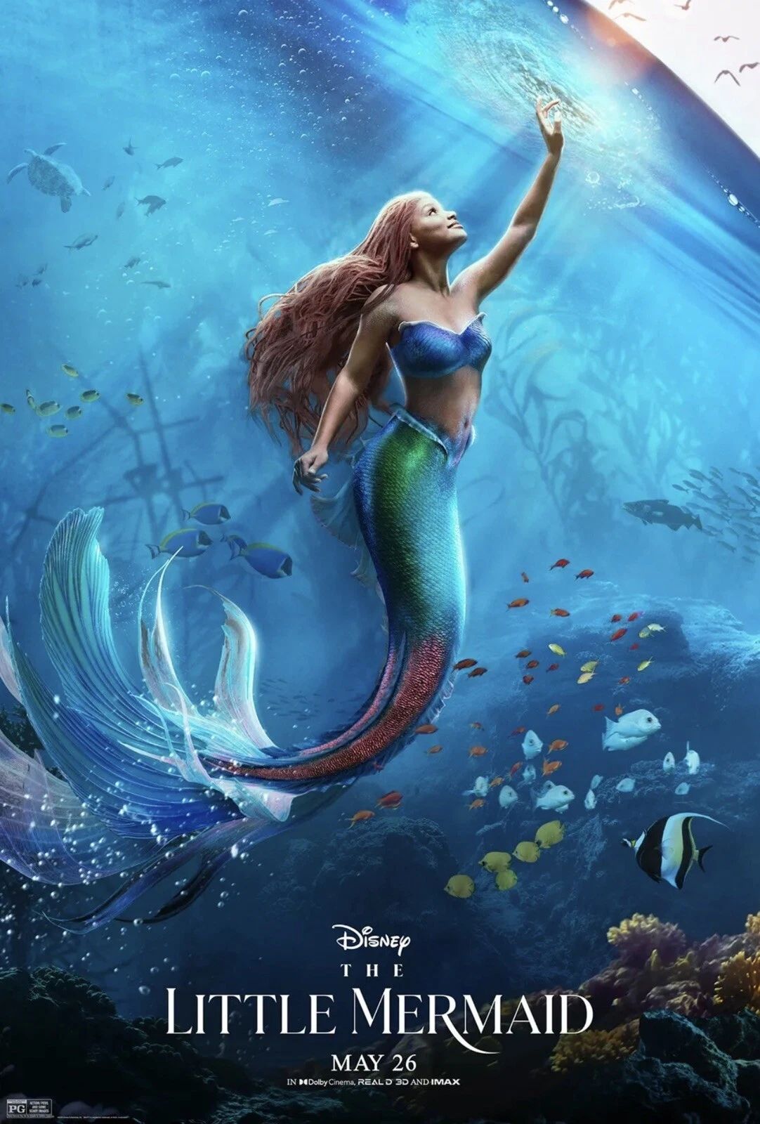 2023 Disney The Little Mermaid Movie Magnet Ariel Ursula Sebastian 1