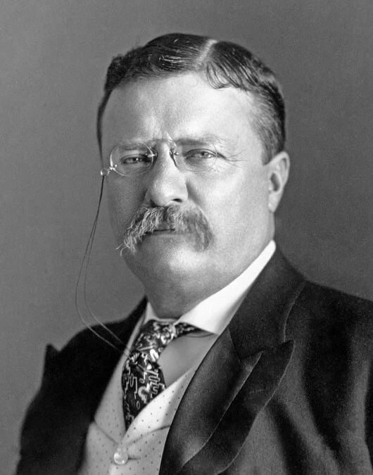 26Th President Theodore 'Teddy' Roosevelt Glossy Magnet United States Print
