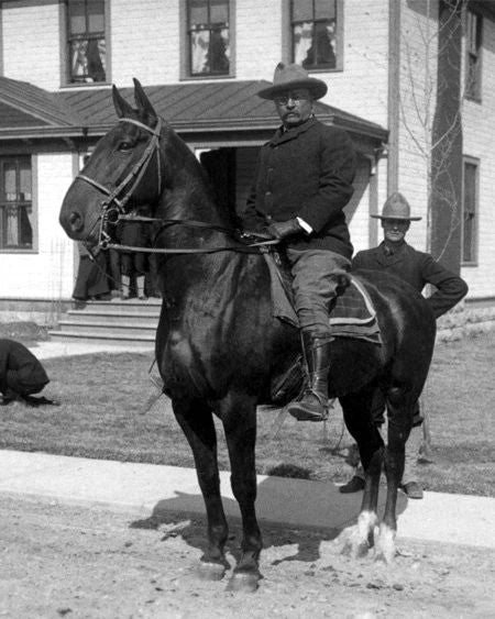26Th Us President Theodore 'Teddy' Roosevelt & John Burroughs Glossy Magnet