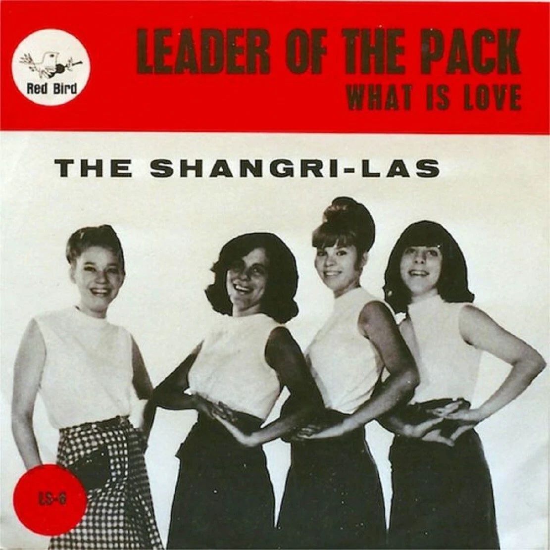 60S Girl Group The Sangri Las Cd Album Cover Magnet Magnet Reprint 8.5X8.5