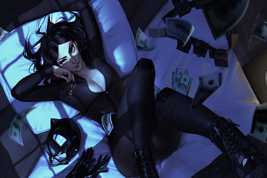 Catwoman Dc Comics Art Comic Book Poster Print Wall Art
