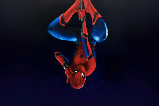 Spider Man Upside Down Comic Book Poster Print Wall Art