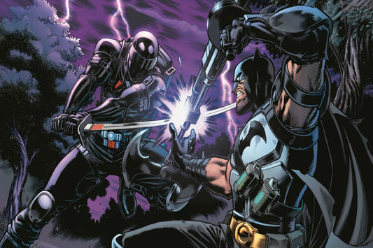 Batman Vs. Snake Eyes Zero Point Comic Book Poster Print Wall Art