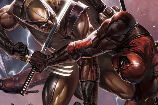 Deadpool Vs. Wolverine Comic Book Poster Print Wall Art