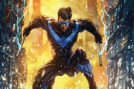 Nightwing Art Comic Book Poster Print Wall Art