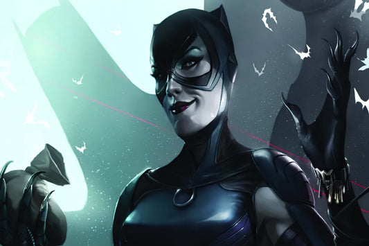 Catwoman Dc Comic Book Poster Print Wall Art