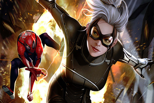 Black Cat Spider Man Marvel Comic Book Poster Print Wall Art