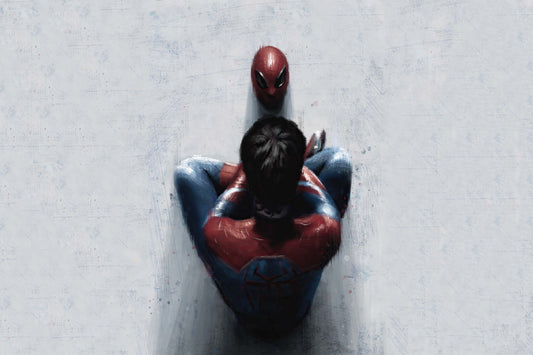Spider Man Peter Parker Comic Book Poster Print Wall Art
