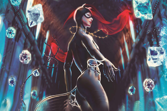 Catwoman Dc Comic Book Poster Print Wall Art