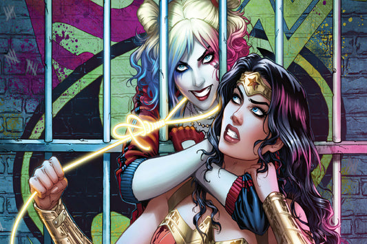 Wonder Woman And Harley Quinn Dc Comics Comic Book Poster Print Wall Art