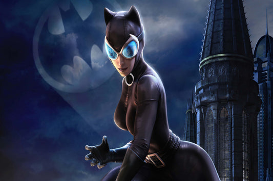 Catwoman Dc Comics Comic Book Poster Print Wall Art