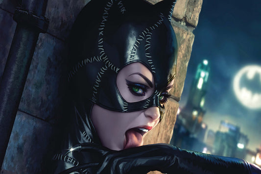 Catwoman Dc Anti Hero Comic Book Poster Print Wall Art