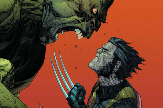 Wolverine Vs. The Hulk Marvel Superhero Comic Book Poster Print Wall Art