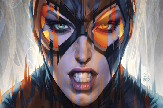 Catwoman Dc Comics Art Comic Book Poster Print Wall Art
