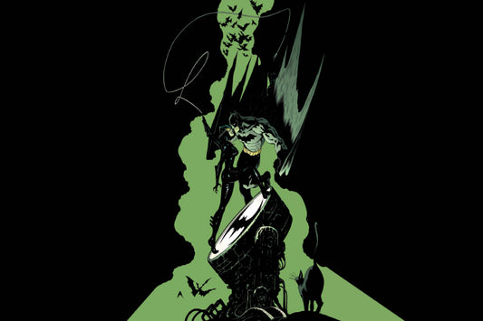 Bat Signal Batman Catwoman Dc Comics Comic Book Poster Print Wall Art